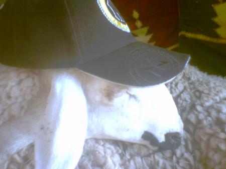 prot�ge du cerveau contre le soleil